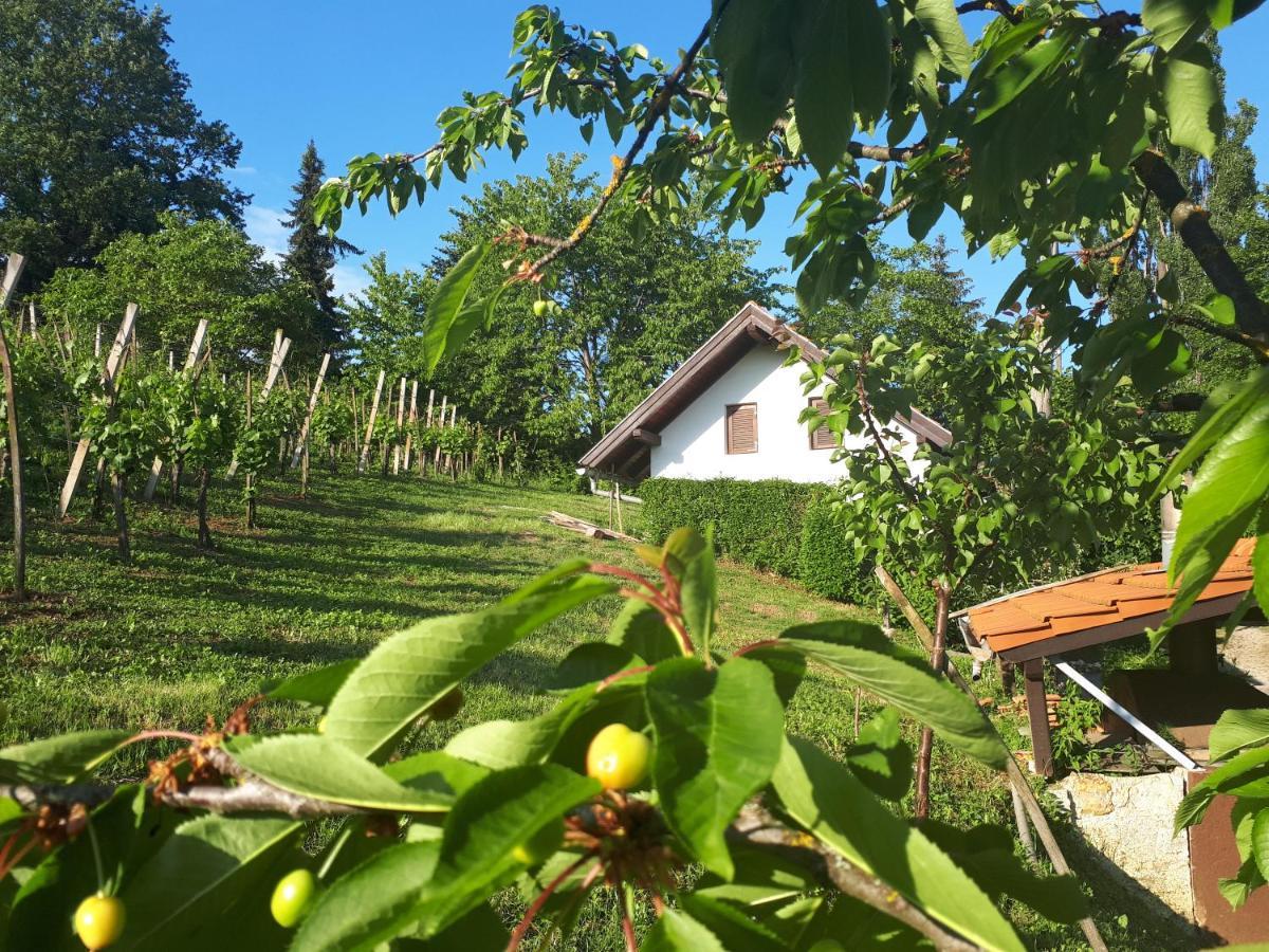 Apartament Cesargradska Klet Tuhelj Zewnętrze zdjęcie