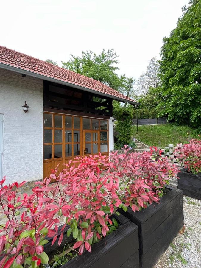 Apartament Cesargradska Klet Tuhelj Zewnętrze zdjęcie